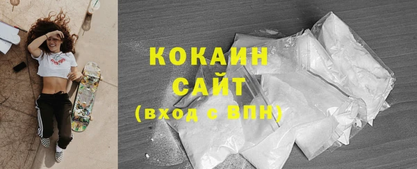 дживик Касимов