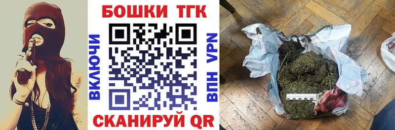 Купить закладки  Вельск  Марихуана сатива 